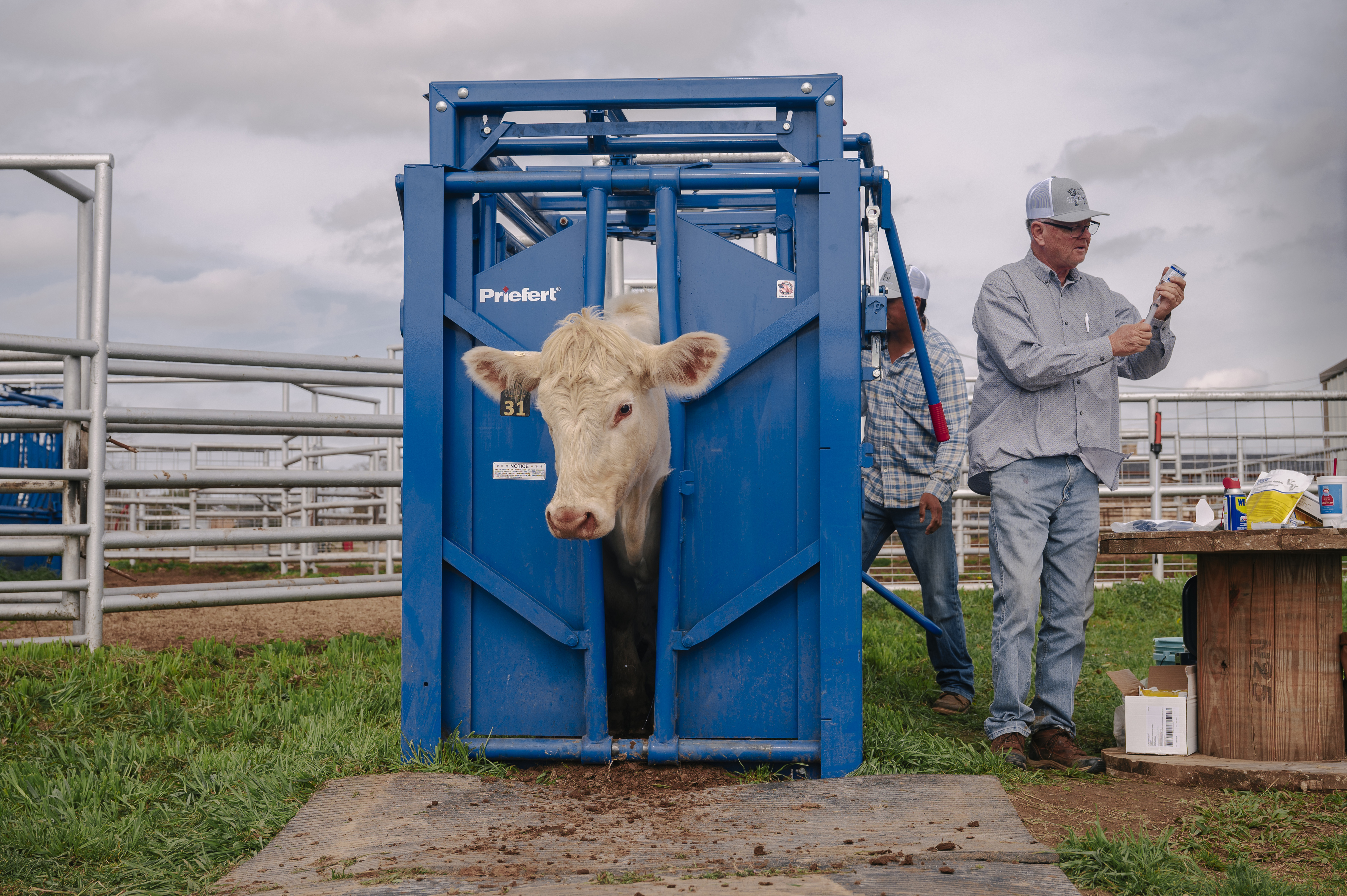 SqueezeChute SC25 0326 Stretcher 0693.jpg